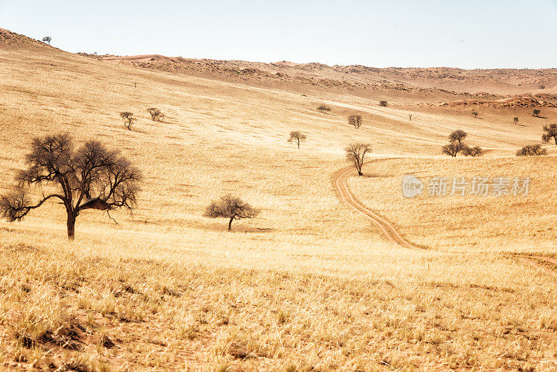 4 × 4越野路径通过沙丘纳米布兰德自然保护区，纳米比亚